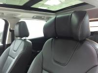 FORD-KUGA蝴蝶頭枕